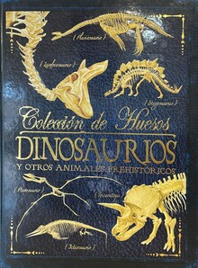 COLECCIÓN DE HUESOS DE DINOSAURIOS