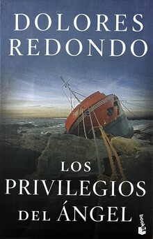 LOS PRIVILEGIOS DEL ÁNGEL